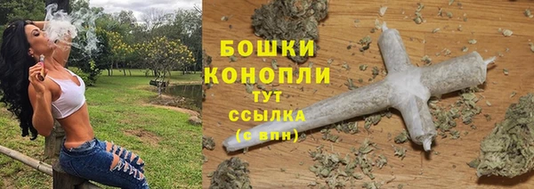 индика Рославль