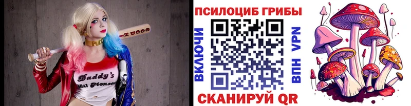 магазин  наркотиков  Аткарск  Псилоцибиновые грибы Magic Shrooms 